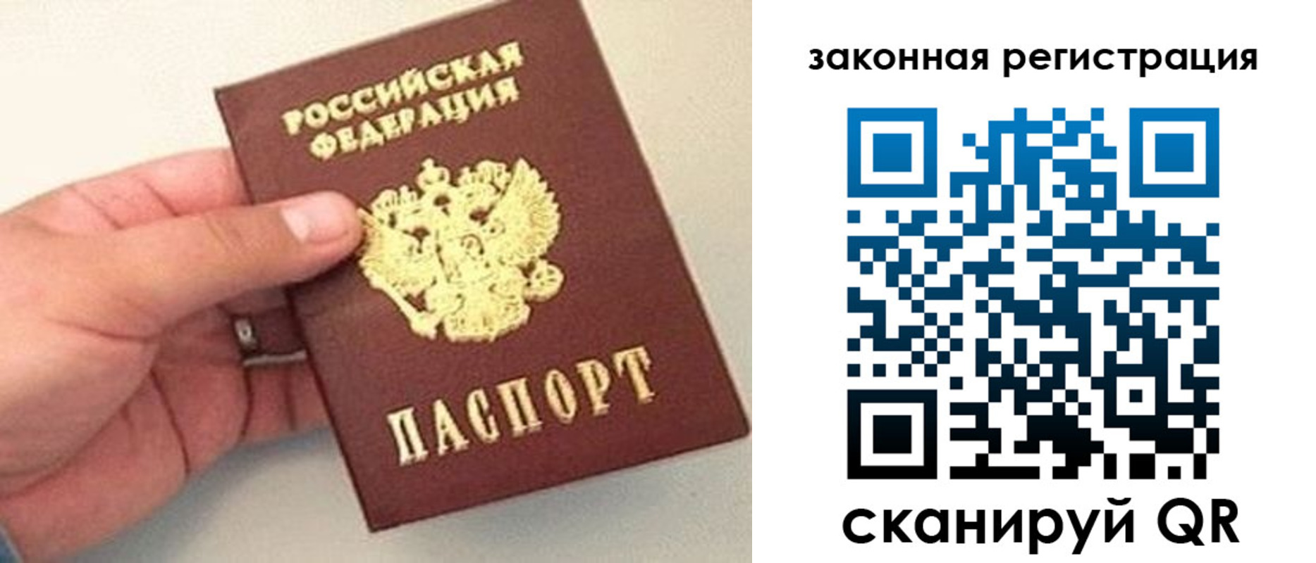 прописка для школы в Торжоке